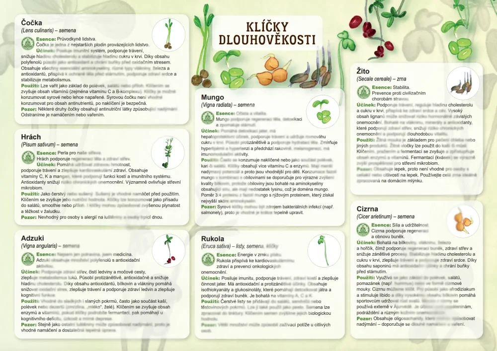 Dlouhověkost - klíčky 1