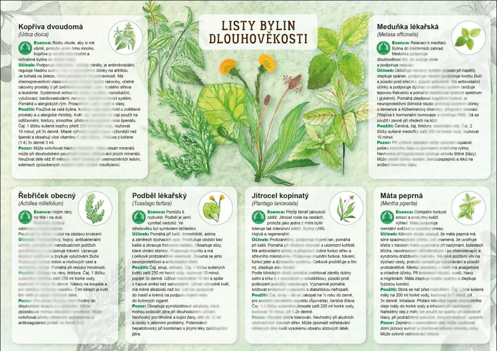 Dlouhověkost - listy bylin 1