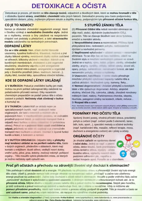 Detoxikace a očista