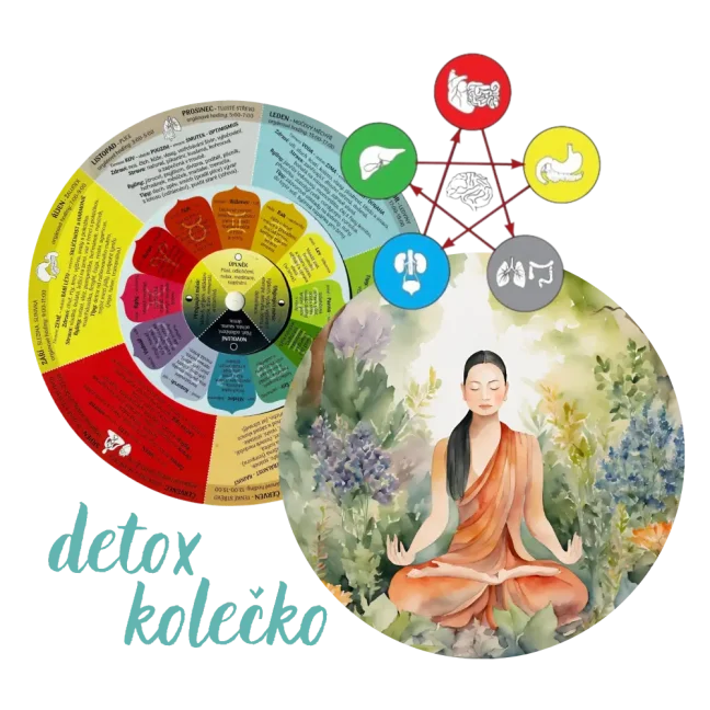 banner detox kolečko s mniškou