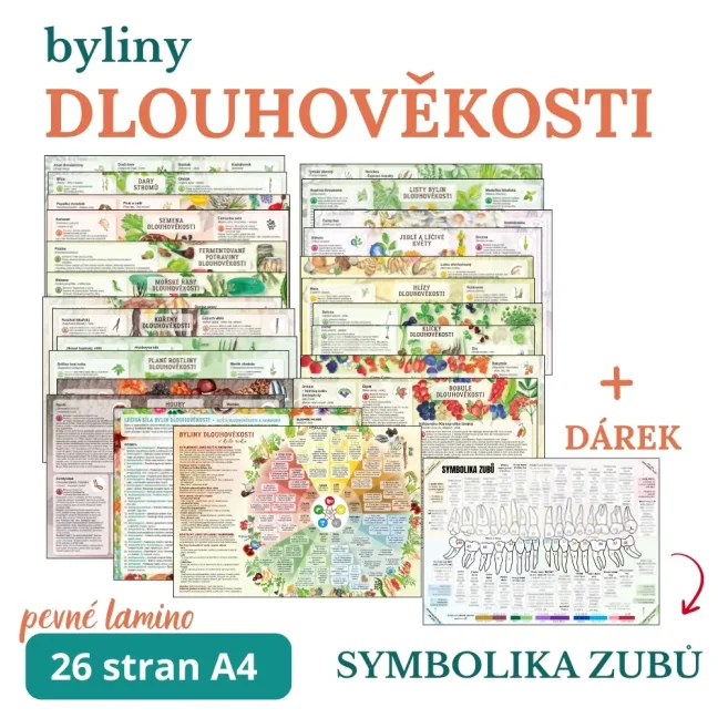 Sada byliny dlouhověkosti + symbolika zubů
