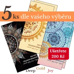 5 ks Diáře transformace 2027