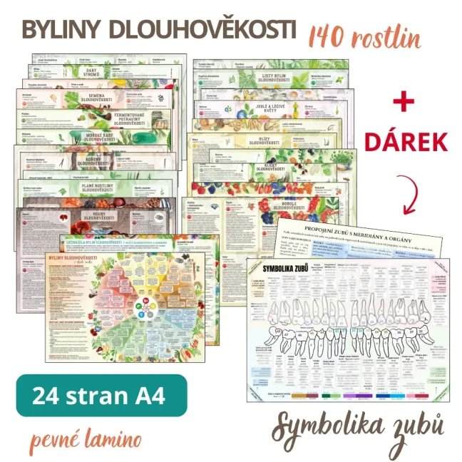 Byliny dlouhověkosti + DÁREK Symbolika zubů