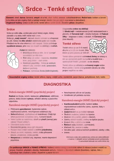 Srdce a tenké střevo