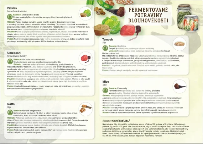 Dlouhověkost - fermentované potraviny 1