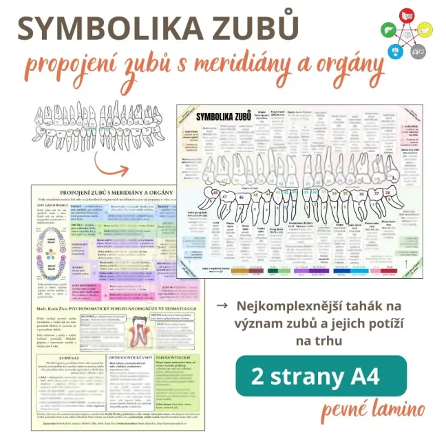 Symbolika zubů