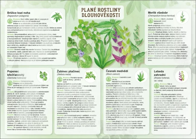 Dlouhověkost - plané rostliny 1
