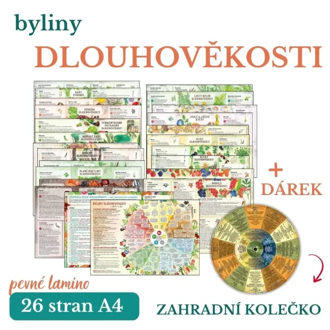 Byliny dlouhověkosti + DÁREK Zahradní kolečko