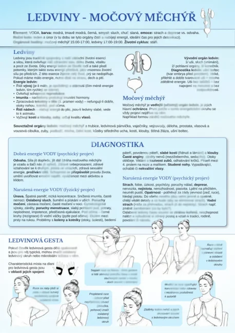 Mapa těla - čtyřset