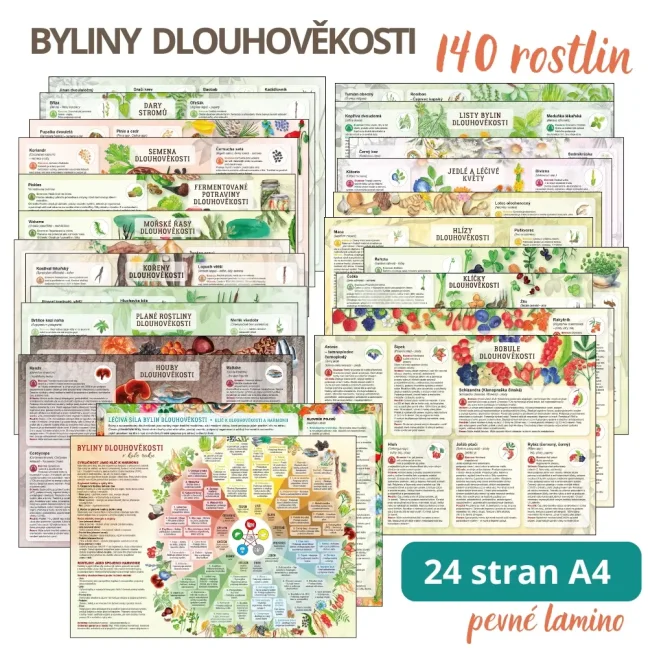 Sada listů Dlouhověkost + Vitalita