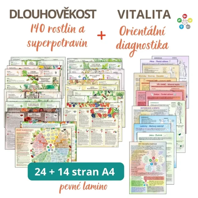 Dlouhověkost a vitalita