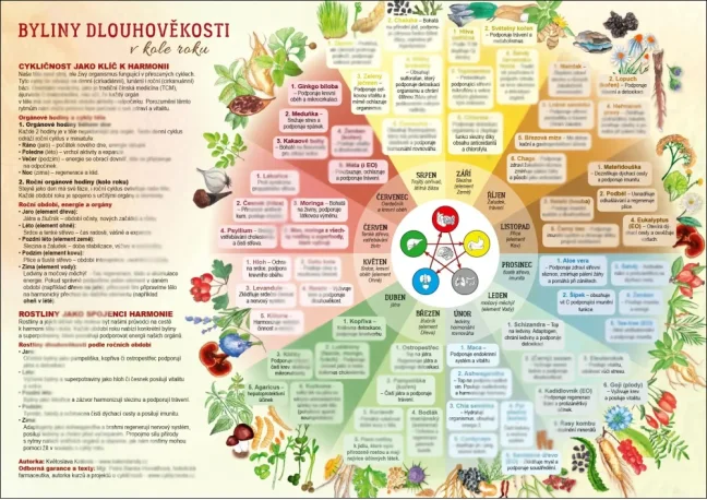 Byliny dlouhověkosti v kole roku