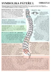 Symbolika páteře 1