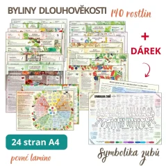 Byliny dlouhověkosti + DÁREK Symbolika zubů