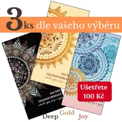 3 ks Diáře transformace 2027