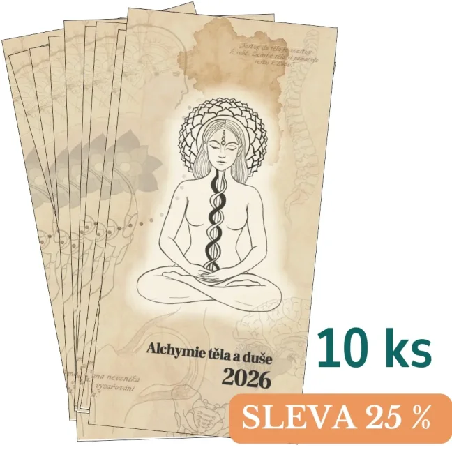 10 ks diář alchymie těla a duše