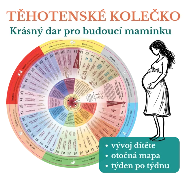 Těhotenské kolečko