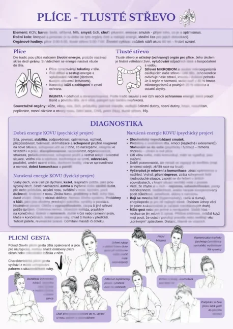 Mapa těla - čtyřset