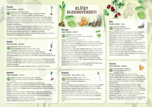 Dlouhověkost - klíčky 1