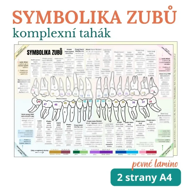 Mapa těla - čtyřset