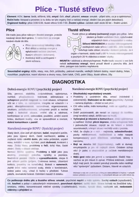 Plíce a tlusté střevo
