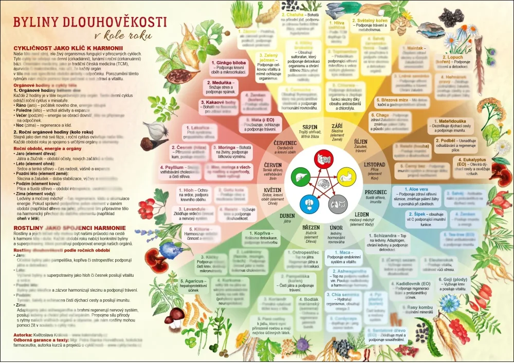 Byliny dlouhověkosti v kole roku