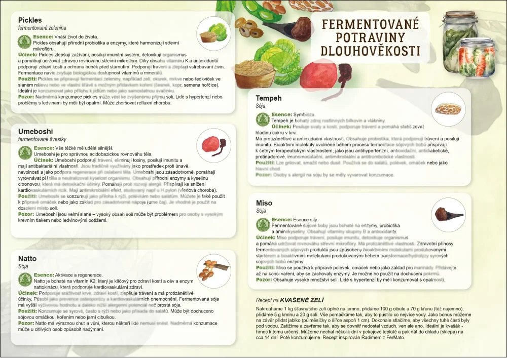 Dlouhověkost - fermentované potraviny 1